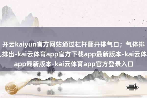 开云kaiyun官方网站通过杠杆翻开排气口;气体排出:气体通过排气孔排出-kai云体育app官方下载app最新版本-kai云体育app官方登录入口